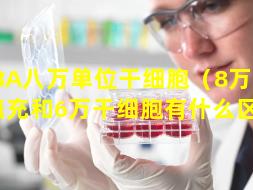 BA八万单位干细胞（8万干细胞填充和6万干细胞有什么区别）