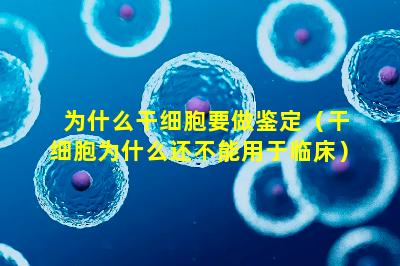 为什么干细胞要做鉴定（干细胞为什么还不能用于临床）
