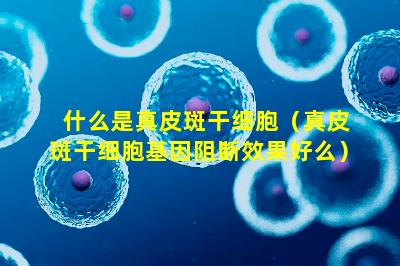 什么是真皮斑干细胞（真皮斑干细胞基因阻断效果好么）