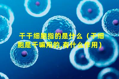 干干细胞指的是什么（干细胞是干嘛用的,有什么作用）