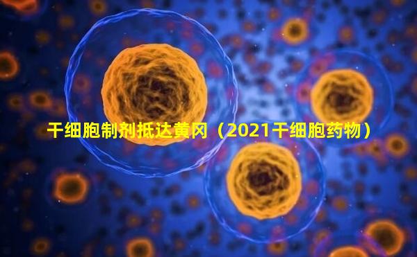 干细胞制剂抵达黄冈（2021干细胞药物）