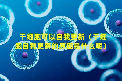 干细胞可以自我更新（干细胞自我更新的原因是什么呢）