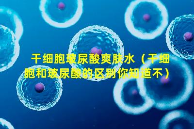 干细胞玻尿酸爽肤水（干细胞和玻尿酸的区别你知道不）