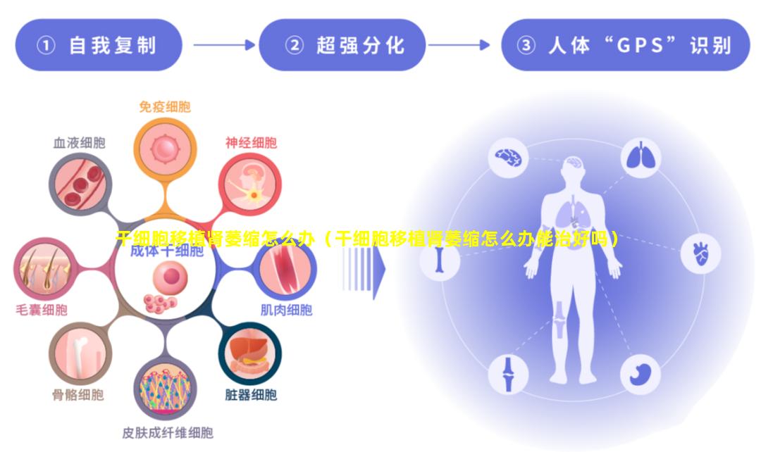 干细胞移植肾萎缩怎么办（干细胞移植肾萎缩怎么办能治好吗）