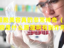 干细胞美容真的非常神奇（干细胞美容是什么原理啊有副作用吗）