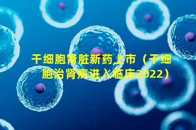 干细胞肾脏新药上市（干细胞治肾病进入临床2022）