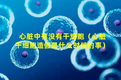 心脏中有没有干细胞（心脏干细胞造假是什么时候的事）