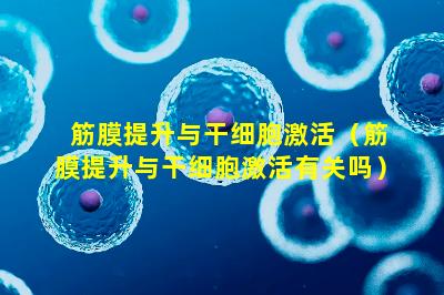 筋膜提升与干细胞激活（筋膜提升与干细胞激活有关吗）