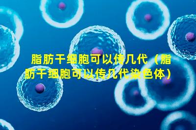 脂肪干细胞可以传几代（脂肪干细胞可以传几代染色体）