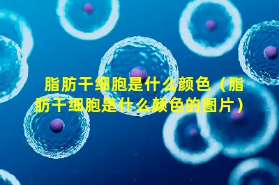 脂肪干细胞是什么颜色（脂肪干细胞是什么颜色的图片）