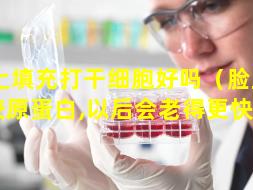 脸上填充打干细胞好吗（脸上填充胶原蛋白,以后会老得更快吗）