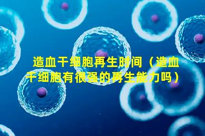 造血干细胞再生时间（造血干细胞有很强的再生能力吗）