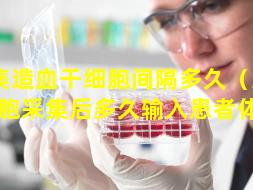 采集造血干细胞间隔多久（造血干细胞采集后多久输入患者体内）