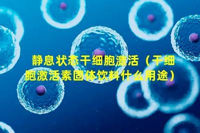 静息状态干细胞激活（干细胞激活素固体饮料什么用途）